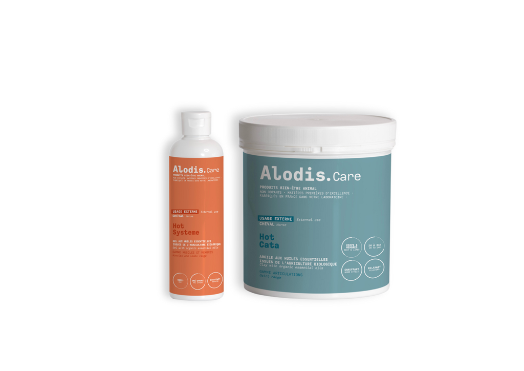 Pack Confort Articulaire