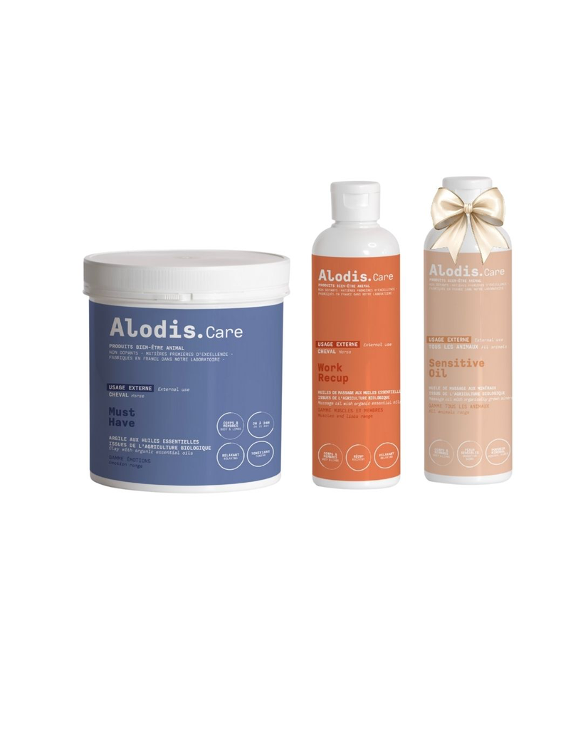 Pack de Noël créé par Philippe Rozier & Chloé @unkeydelarose_