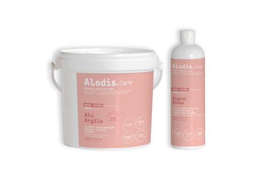 Pack Confort Digestif