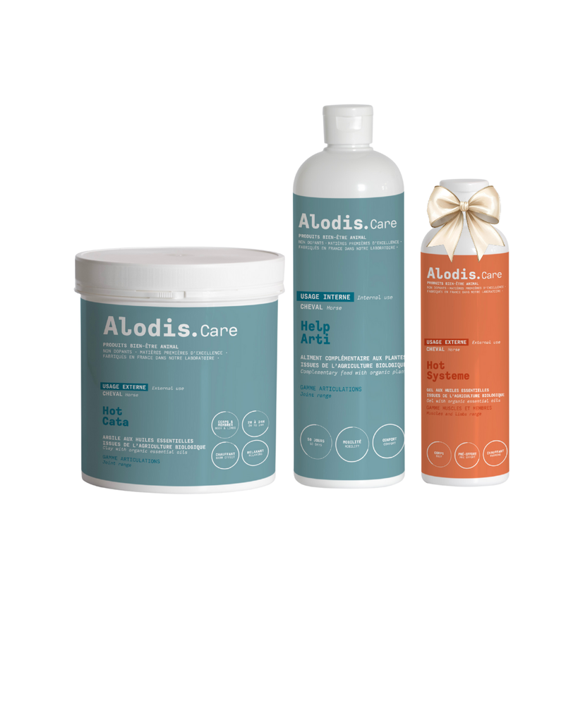 Pack de Noël créé par Camille Condé Ferreira et @uncoeurdecavaliere